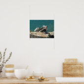 Iguana bei St. Thomas Poster (Küche)