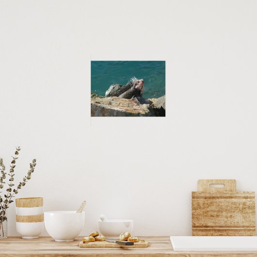 Iguana bei St. Thomas Poster (Küche)