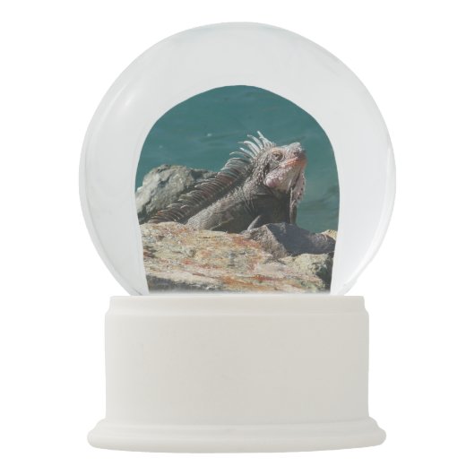 Iguana bei St. Thomas Schneekugel (Vorderseite)