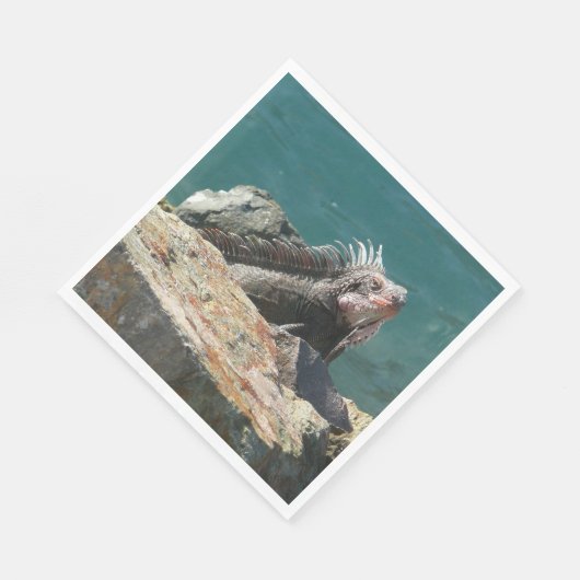 Iguana bei St. Thomas Serviette (Ecke)