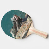 Iguana bei St. Thomas Tischtennis Schläger (Seitenansicht)