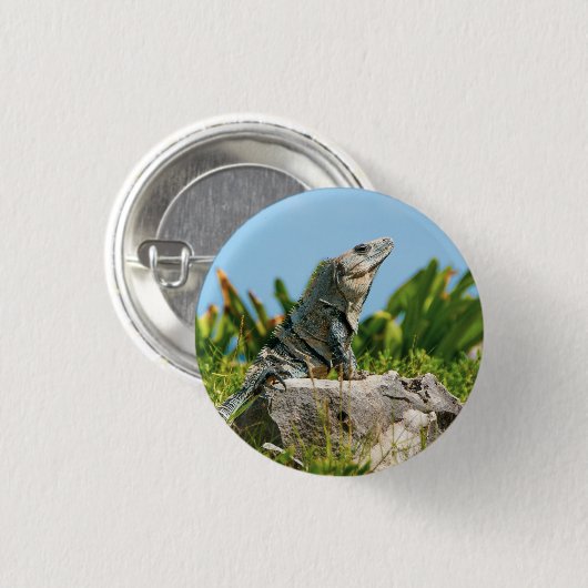 Iguana Button (Vorne & Hinten)