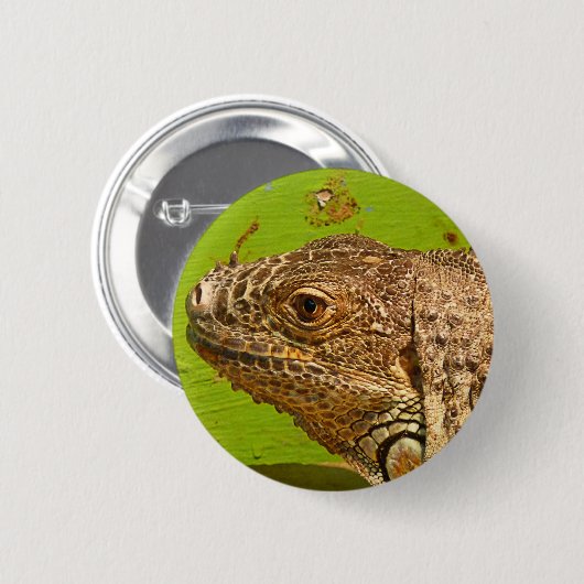 IGUANA BUTTON (Vorne & Hinten)