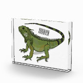 Iguana-Cartoon-Abbildung Fotoblock (Rechts)