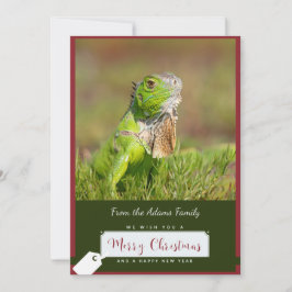 Iguana Christmas Card Feiertagskarte