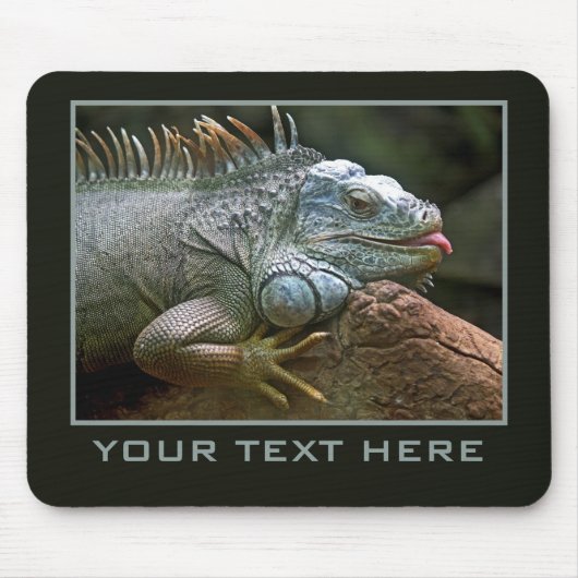 Iguana Custom Mousepad (Vorne)