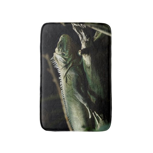 Iguana delicatissima badematte (Vorderseite Vertikal)