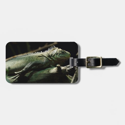 Iguana delicatissima gepäckanhänger (Vorderseite horizontal)