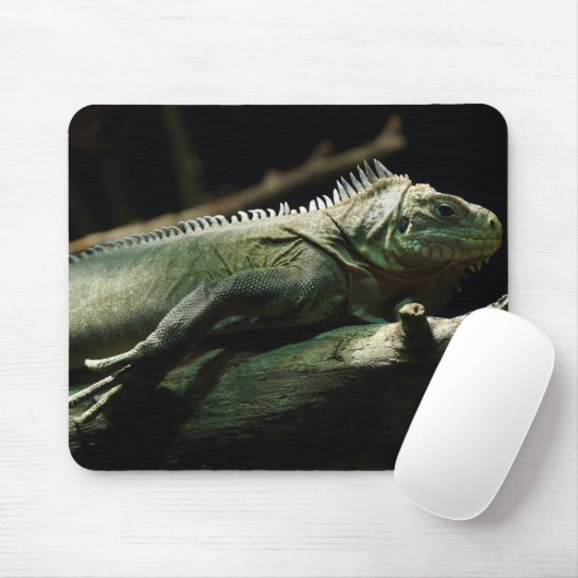 Iguana delicatissima mousepad (Mit Mouse)