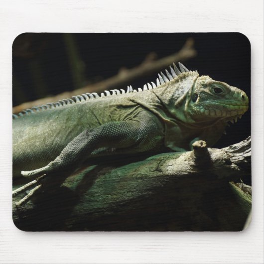 Iguana delicatissima mousepad (Vorne)