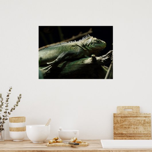 Iguana delicatissima poster (Küche)