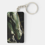 Iguana delicatissima schlüsselanhänger (Rückseite)