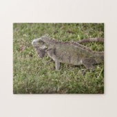Iguana Exotic Reptile Pet Lizard Puzzle (Horizontal)