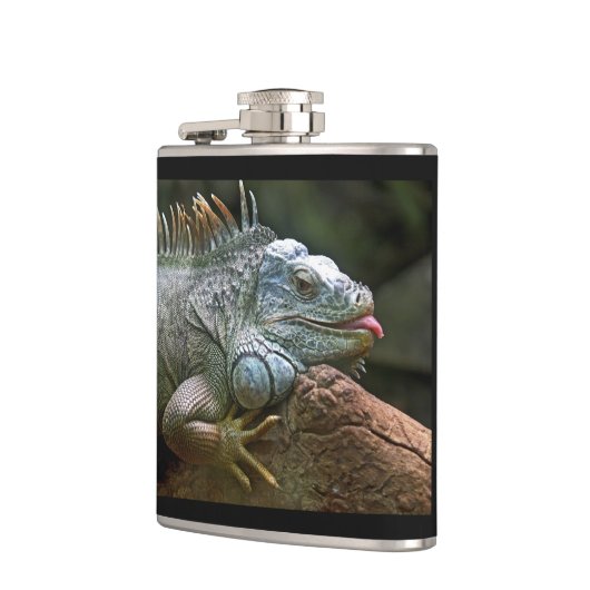 Iguana-Flasche Flachmann (Links)
