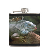 Iguana-Flasche Flachmann (Vorderseite)