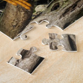 Iguana Foto Puzzle (Seite)