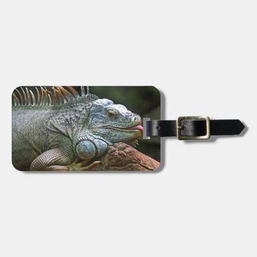 Iguana-Gepäckmarke Gepäckanhänger (Vorderseite horizontal)