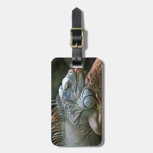 Iguana-Gepäckmarke Gepäckanhänger (Vorderseite vertikal)