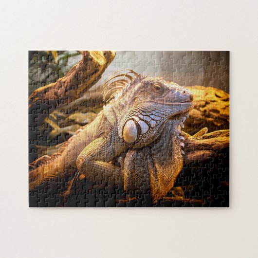 Iguana Head Nah-up, Jigsaw Puzzle (Horizontal)