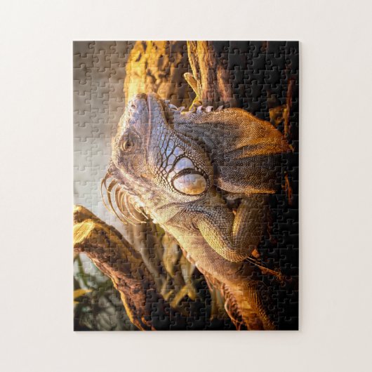 Iguana Head Nah-up, Jigsaw Puzzle (Vertikal)