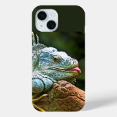 Iguana im Log mit Zungenausgang Case-Mate iPhone Hülle (Rückseite)