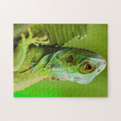 Iguana in der Wildnis Puzzle (Horizontal)