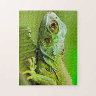 Iguana in der Wildnis Puzzle
