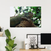 Iguana in einem Baum Poster (Heimbüro)