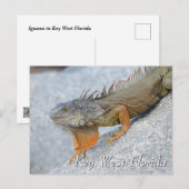 Iguana in Key West Florida Postkarte (Vorne/Hinten)