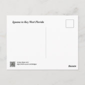 Iguana in Key West Florida Postkarte (Rückseite)