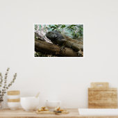 Iguana in Tree Poster (Küche)