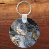 Iguana, Islas las Plazas, Galapagos Schlüsselanhänger (Vorderseite)