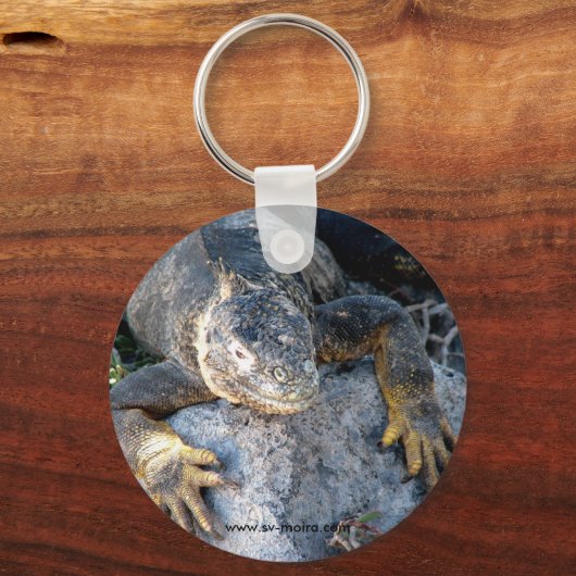 Iguana, Islas las Plazas, Galapagos Schlüsselanhänger (Vorderseite)