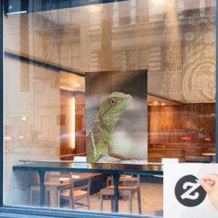 Iguana kiss fensteraufkleber