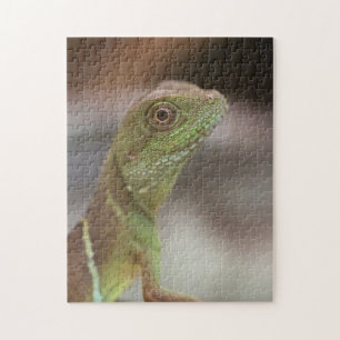 Iguana kiss puzzle
