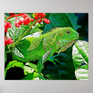 Iguana Kunstmauer für Dekoration. Poster
