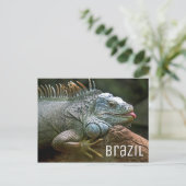 Iguana Lizard Brazil Wildlife Postkarte (Stehend Vorderseite)