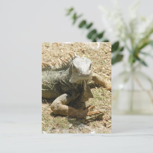 Iguana Lizard Postcard Postkarte (Stehend Vorderseite)