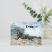 Iguana Lizard Reptile Cancun Mexiko Postkarte (Stehend Vorderseite)