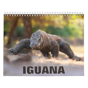 Iguana-Mauer-Kalender 2022 Kalender