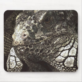 Iguana Mousepad