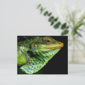 Iguana Nah-up Foto Postcard Postkarte (Stehend Vorderseite)
