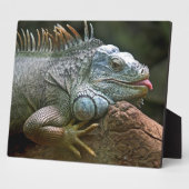 Iguana-Plakette Fotoplatte (Seite)