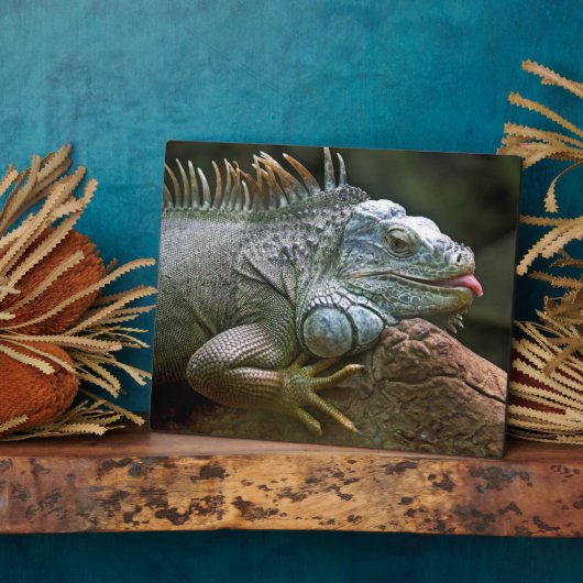 Iguana-Plakette Fotoplatte (Seite)