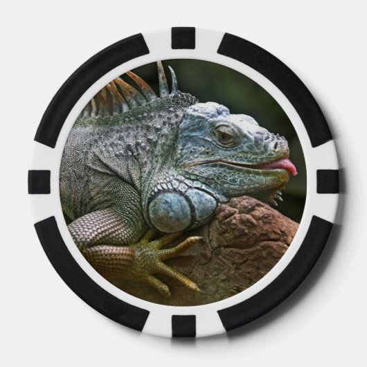 Iguana-Poker-Chips Pokerchips (Vorderseite)