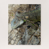 Iguana Posing on Rock for Camera Puzzle (Vertikal)