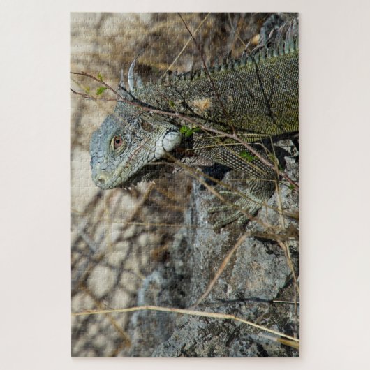 Iguana Posing on Rock for Camera Puzzle (Vertikal)