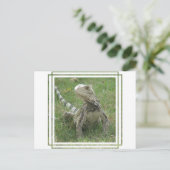 Iguana Postcard Postkarte (Stehend Vorderseite)