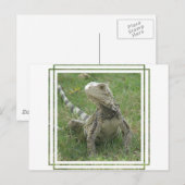 Iguana Postcard Postkarte (Vorne/Hinten)