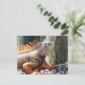 Iguana Postcard Postkarte (Stehend Vorderseite)